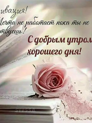 Афоризмы пожелания