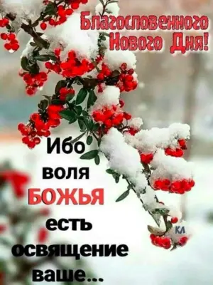 Божьего благословения в зимний день