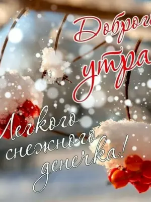 Доброе Снежное утро
