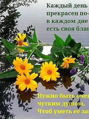 Доброго дня и Божьей помощи