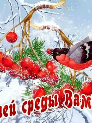 Хорошего зимнего дня