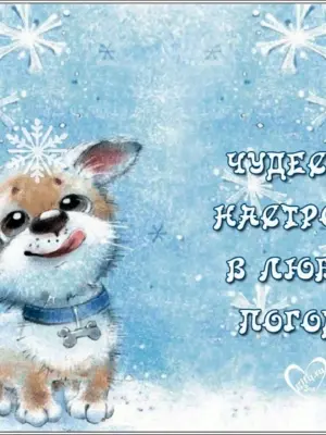 Хорошего зимнего настроения