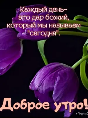 Христианские пожелания с добрым утром