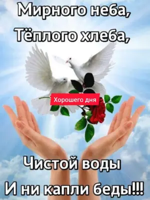 Мирного неба теплого хлеба