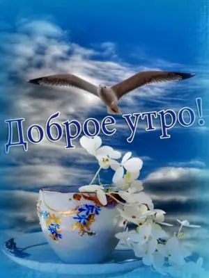 Открытки с добрым мирным утром