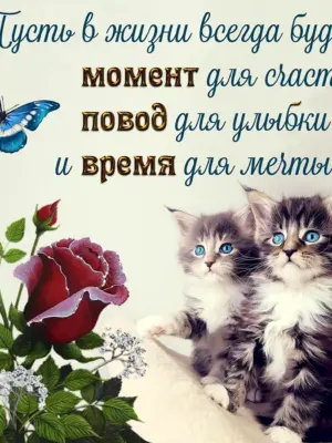 Открытки с пожеланиями