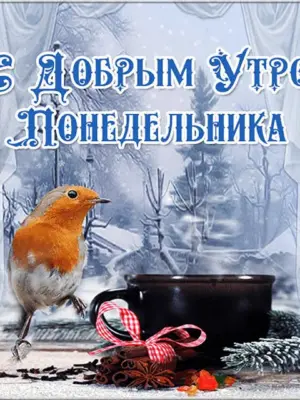 Прекрасного зимнего воскресенья