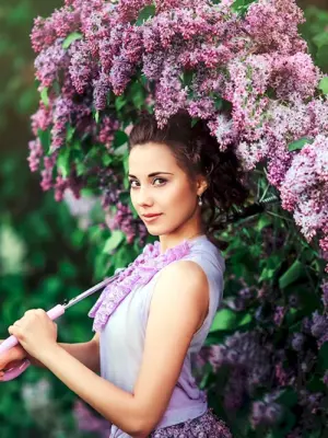 Сирень леди Линдсей