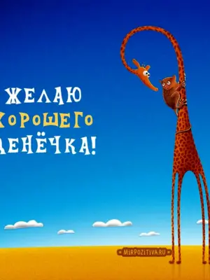 Смешные пожелания хорошего дня