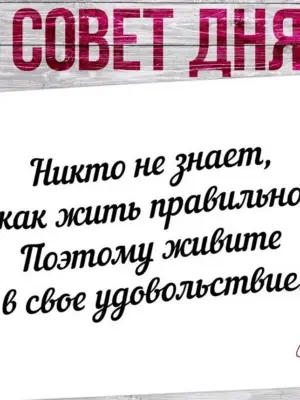 Совет дня