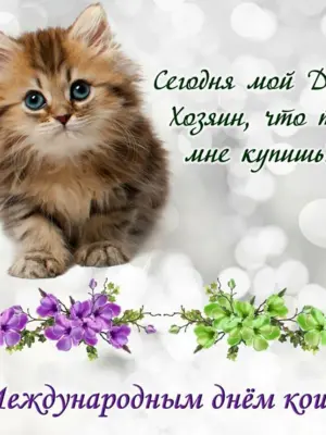 Всемирный день кошек