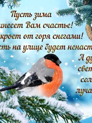 Зимние поздравления с добрым утром