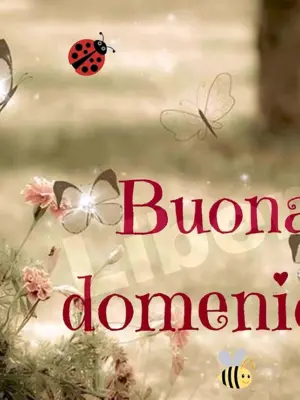 Buona domenica картинки