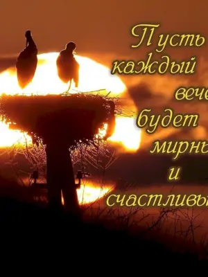 Доброго мирного вечера