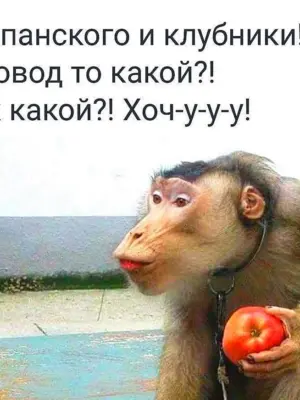 Позитивный юмор в Карти
