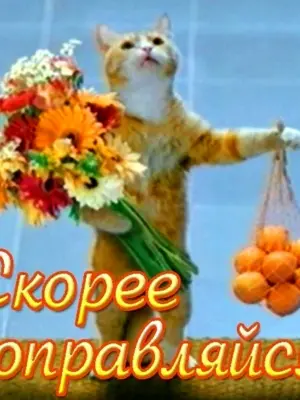 Скорейшего выздоровления