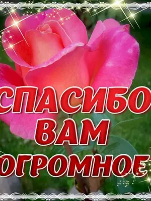 Спасибо большое