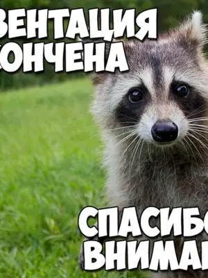 Спасибо за внимание