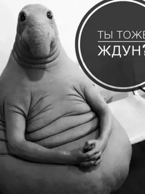 Ждун