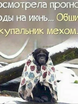 Анекдоты про Холодное лето