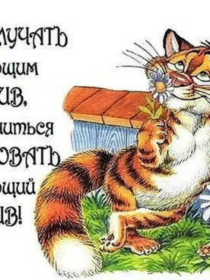 Добрые статусы в картинках