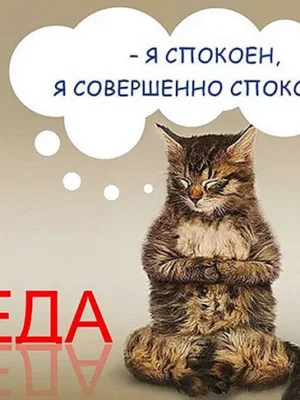 Открытки со средой прикольные