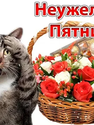Поздравление с пятницей