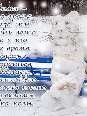 Поздравления на снегу