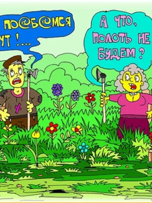 Приколы про дачу