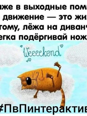 Смешные цитаты про выходные