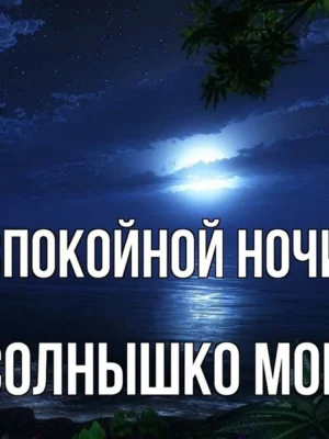 Спокойной ночи Володенька