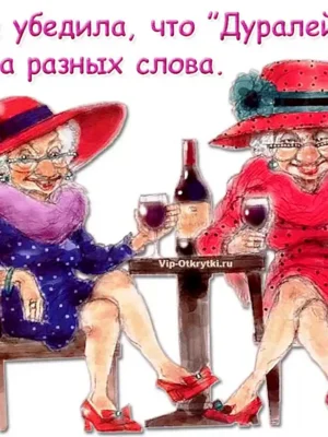 Старушки подружки