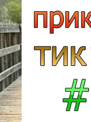 Тик ток приколы
