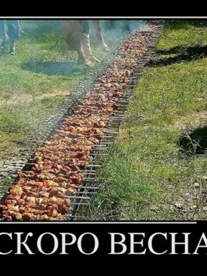 Весна юмор