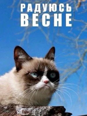 Весна прикольные