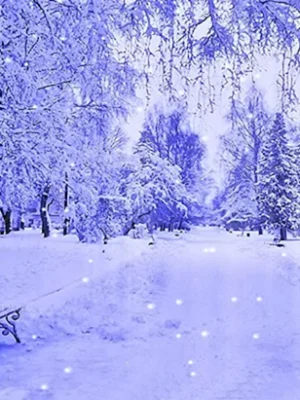 Зима